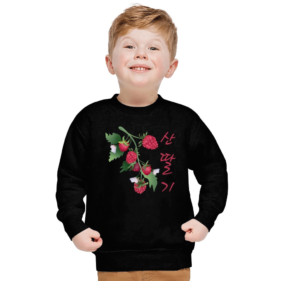 Korean Raspberry Sweatshirts