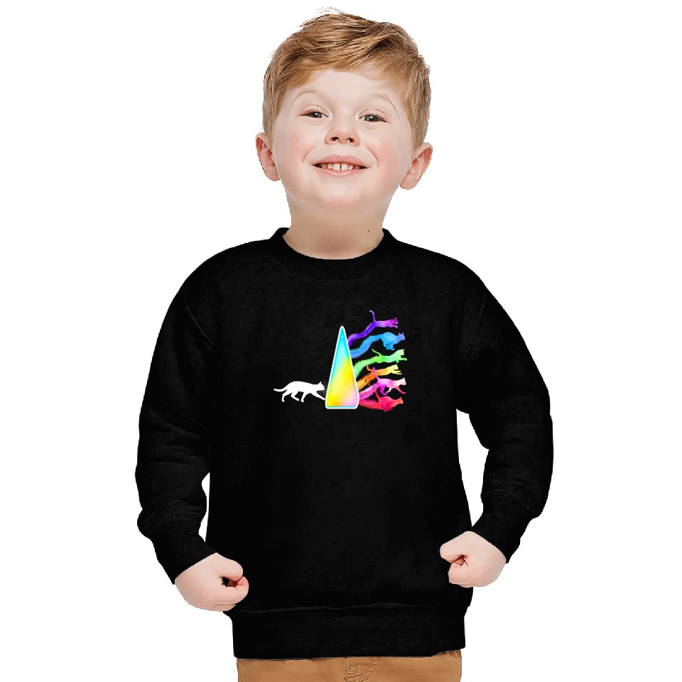 Funny Science Nerd, Geek Cat Physics Rainbow Sweatshirts