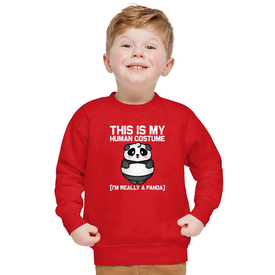 Panda Bear Animal Lovers Premium Sweatshirt