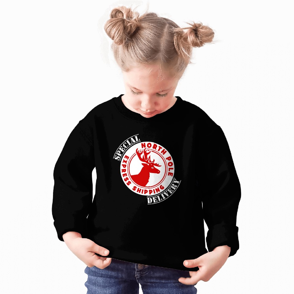 NORTH POLE SPECIAL DELIVERY Sweatshirts