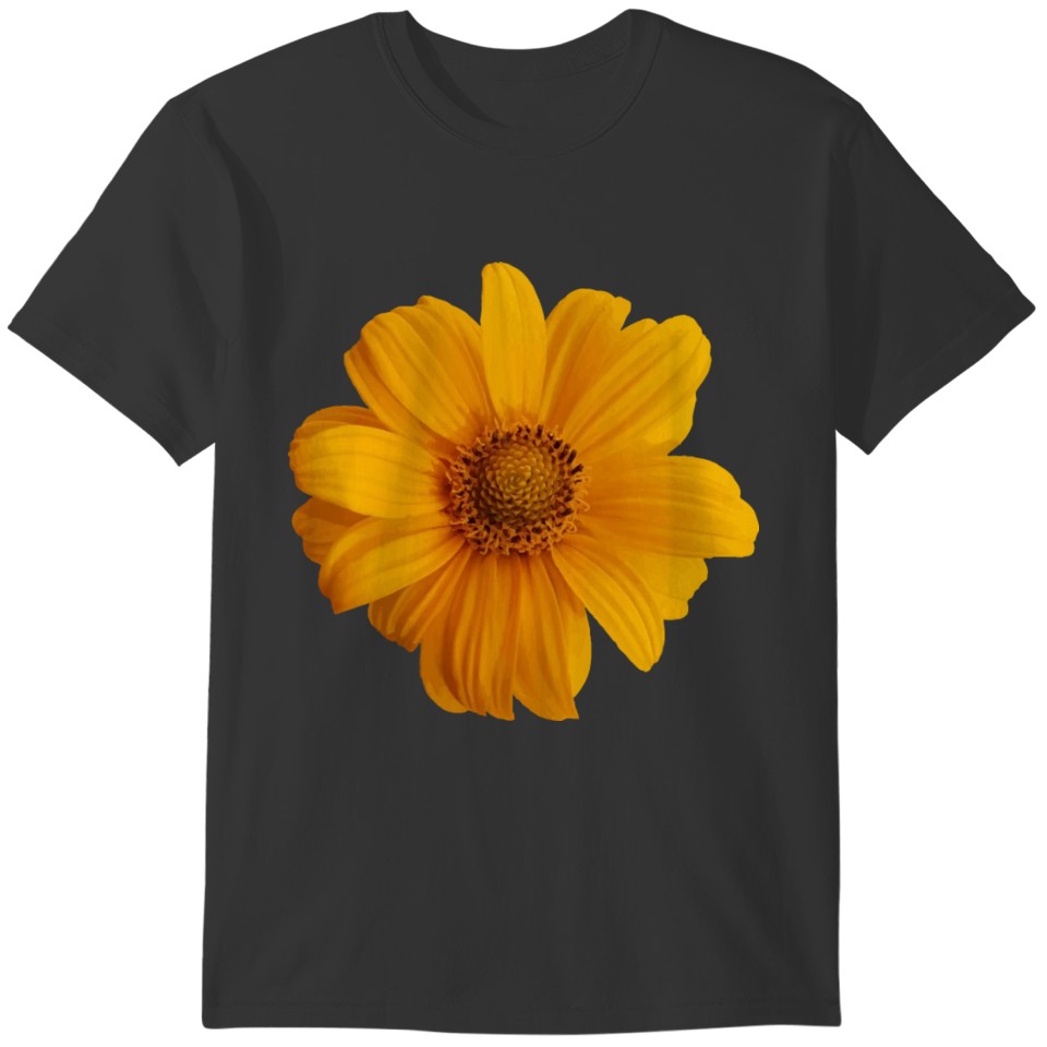 Abstract Art/Sun Flower/Sun Flower Art T-shirt