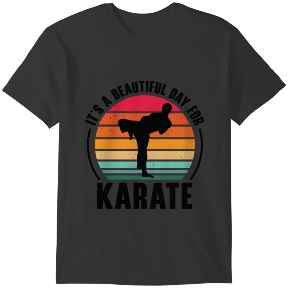 It's A Beautiful Day For Karate Martial Art T-shirt