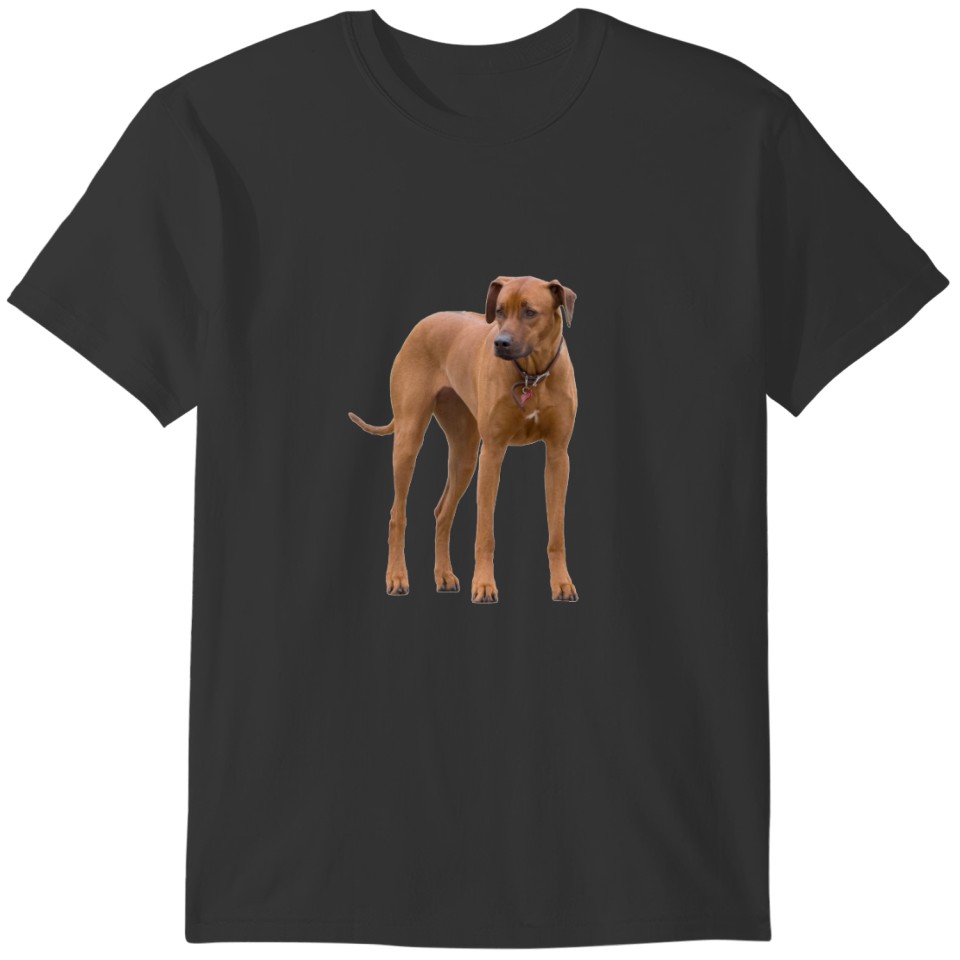 Rhodesian Ridgeback dog beautiful photo, gift T-shirt