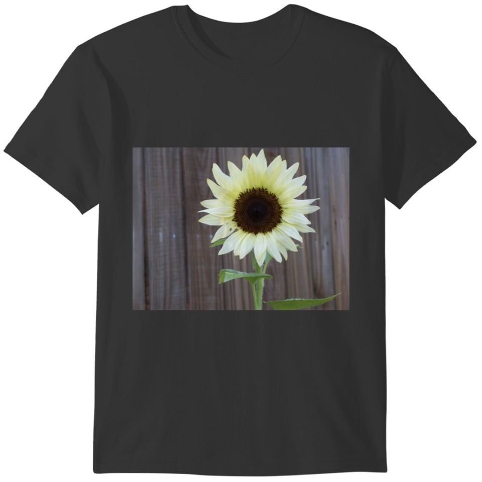 White sunflower against a weathered fence T-shirt