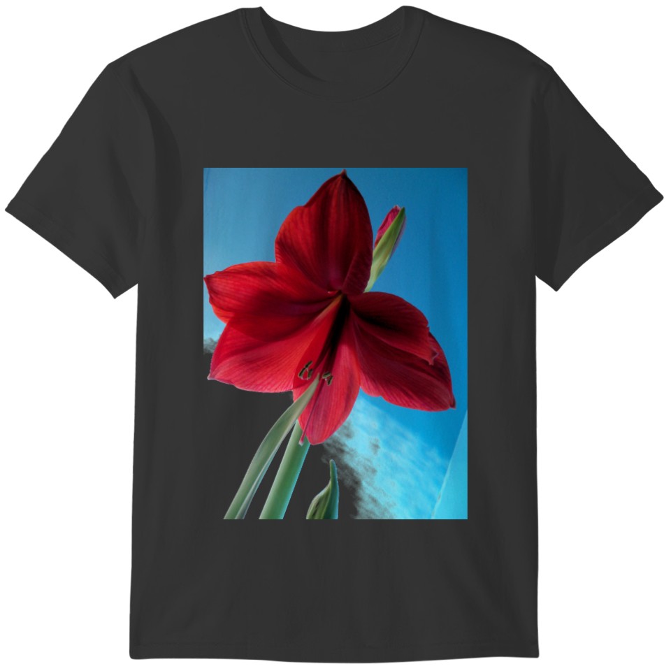 Vivid red Amaryllis Flower T-shirt