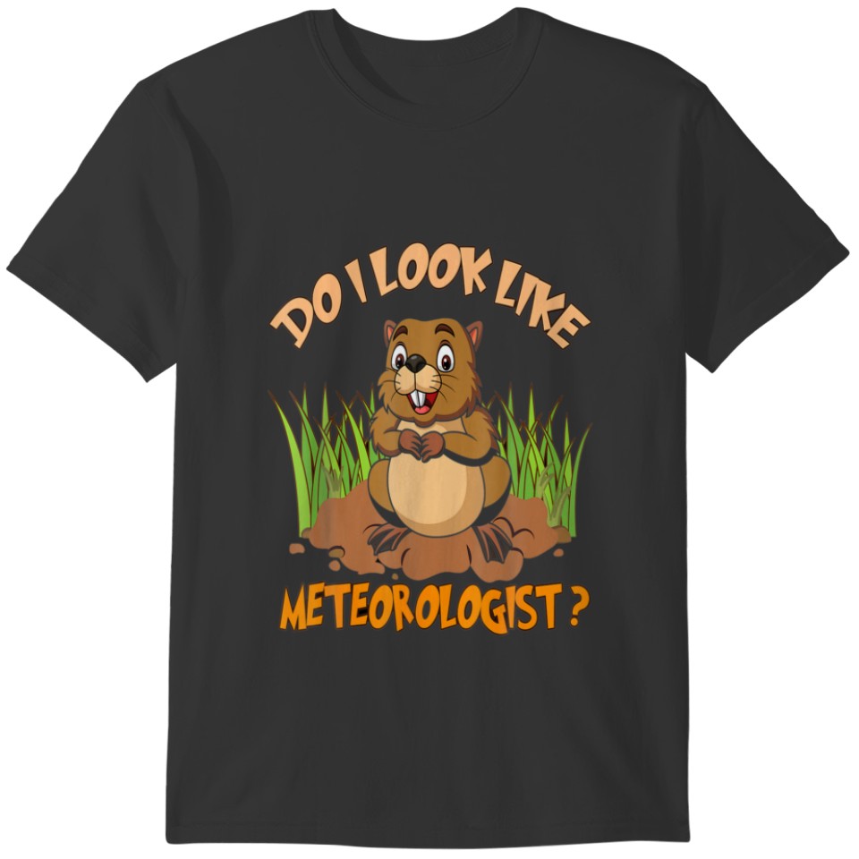 A Meteorologist Groundhog,Groundhog Birthday Febru T-shirt
