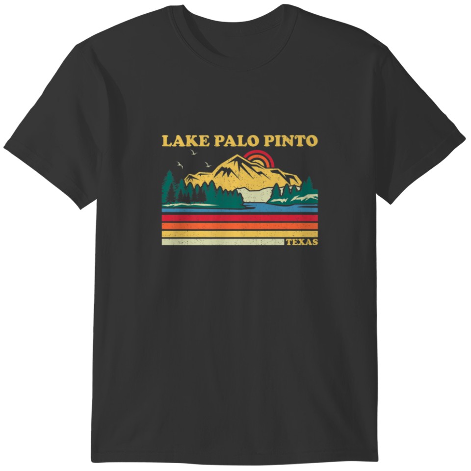Vintage Retro Family Vacation Texas Palo Pinto Lak T-shirt