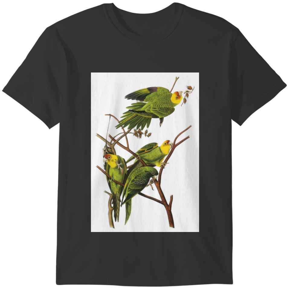 : Parakeets - by John Audubon T-shirt