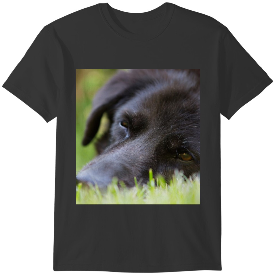 Close Up Black old dogs face with selective focus T-shirt