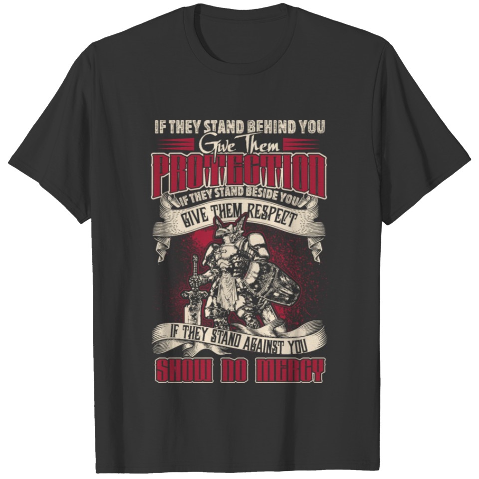 WowPaladinresized T-shirt