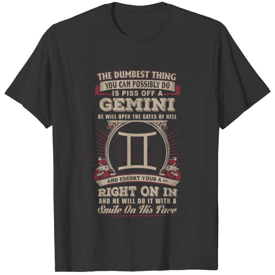 You can possibly do is piss off Gemini T-shirt