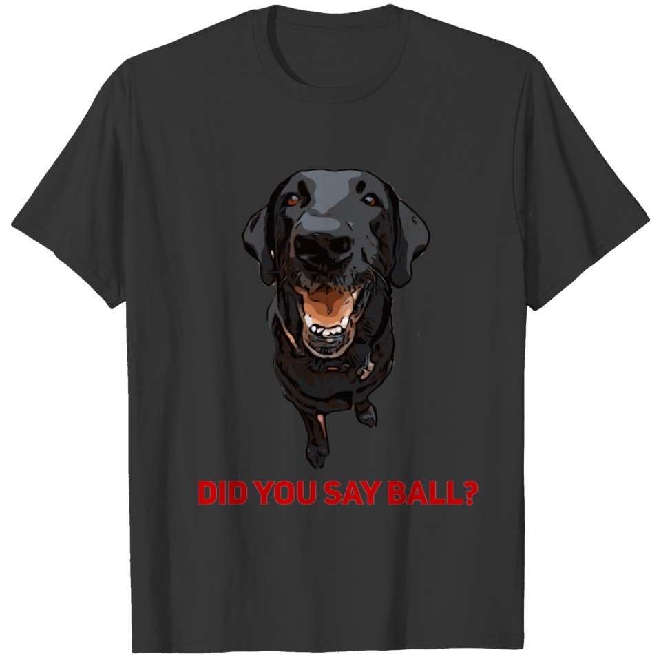 Did you say Ball Black Lab T Shirts