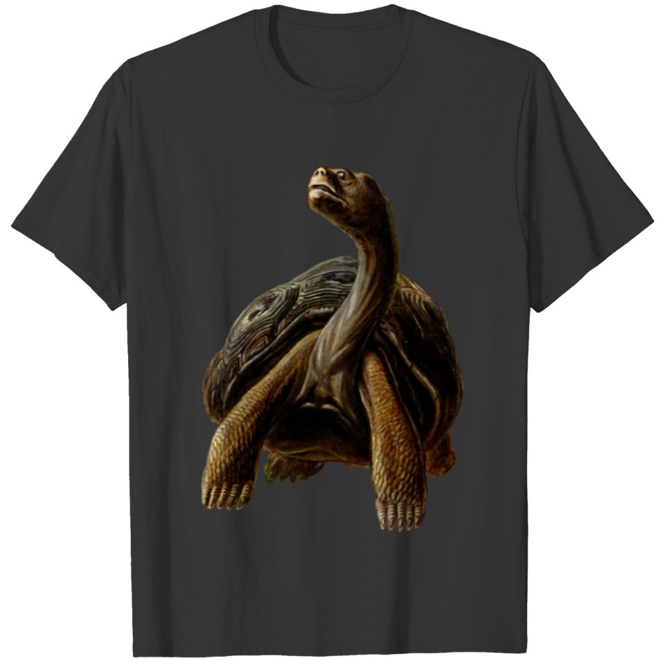 sea turtle tortoise schildkroete50 T-shirt