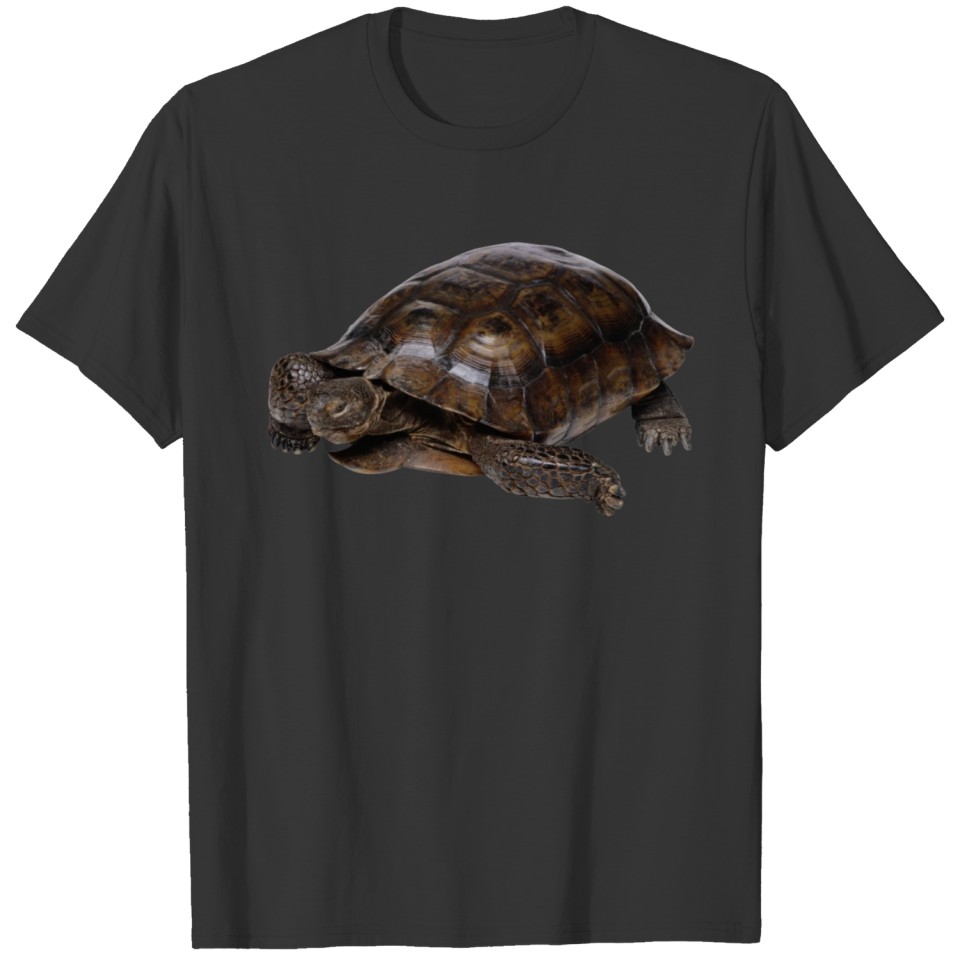 turtle schildkroete tiere animals1 T-shirt