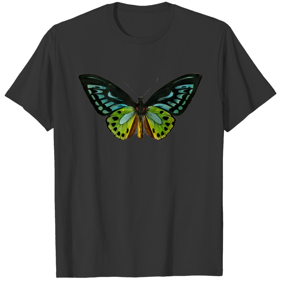 Ornithoptera priamus Green birdwing Gift Tshirt T-shirt