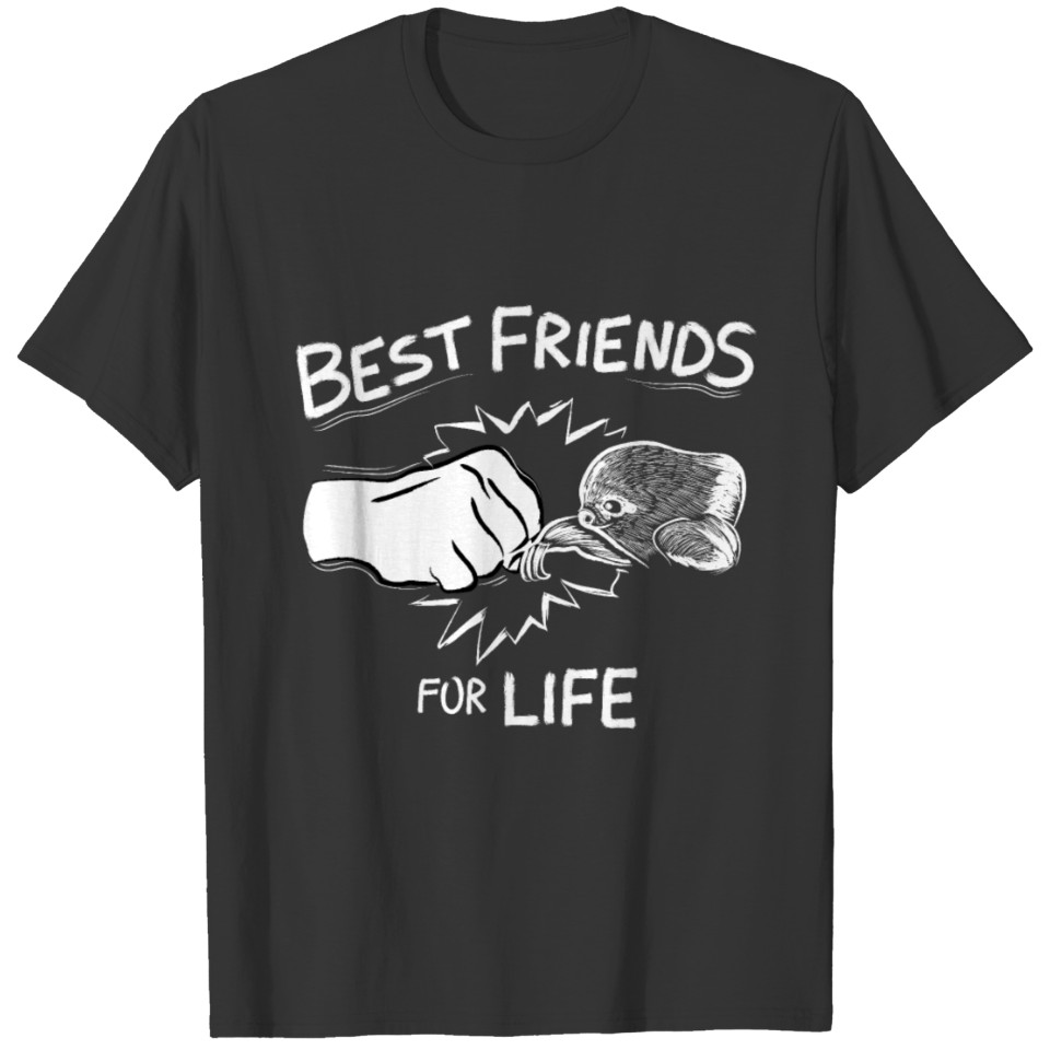 Best Friends For Life Sloth Clothing Gift Sloth T Shirts