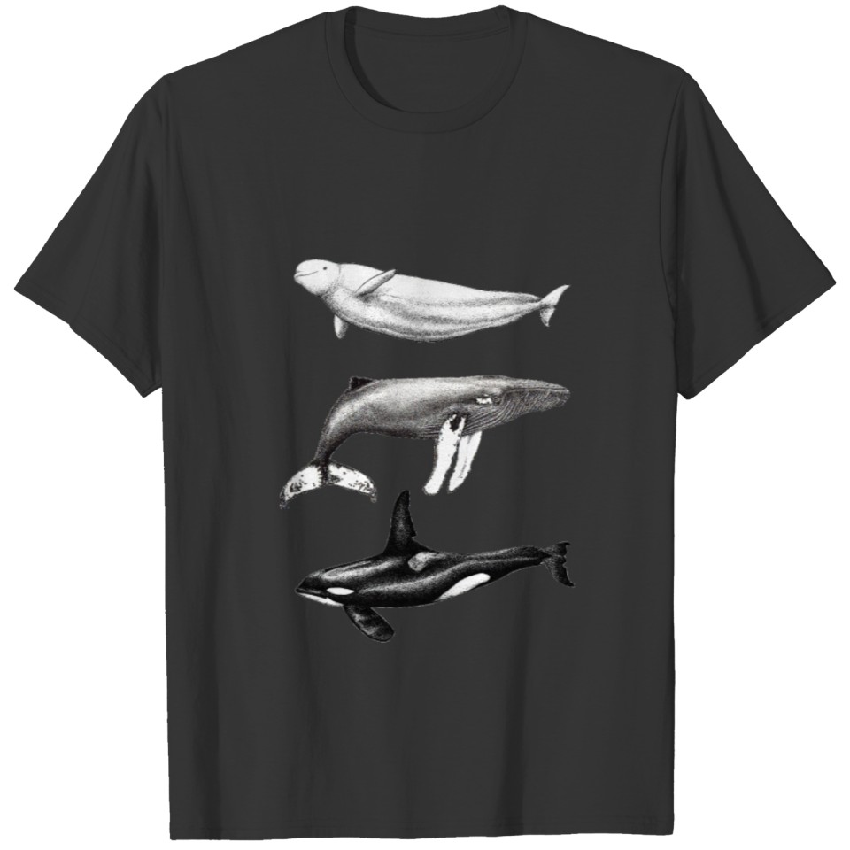 White whale Beluga, humpback whale and orca T Shirts
