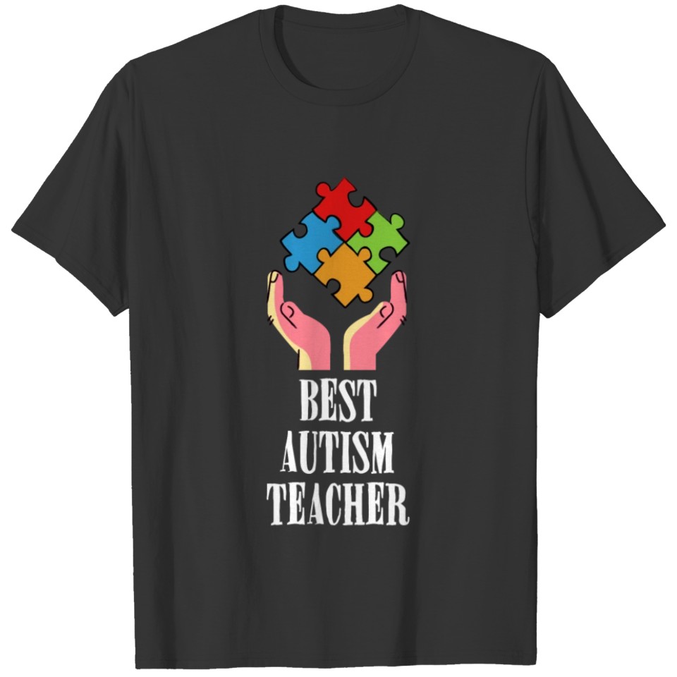 Autism Teacher T-shirt