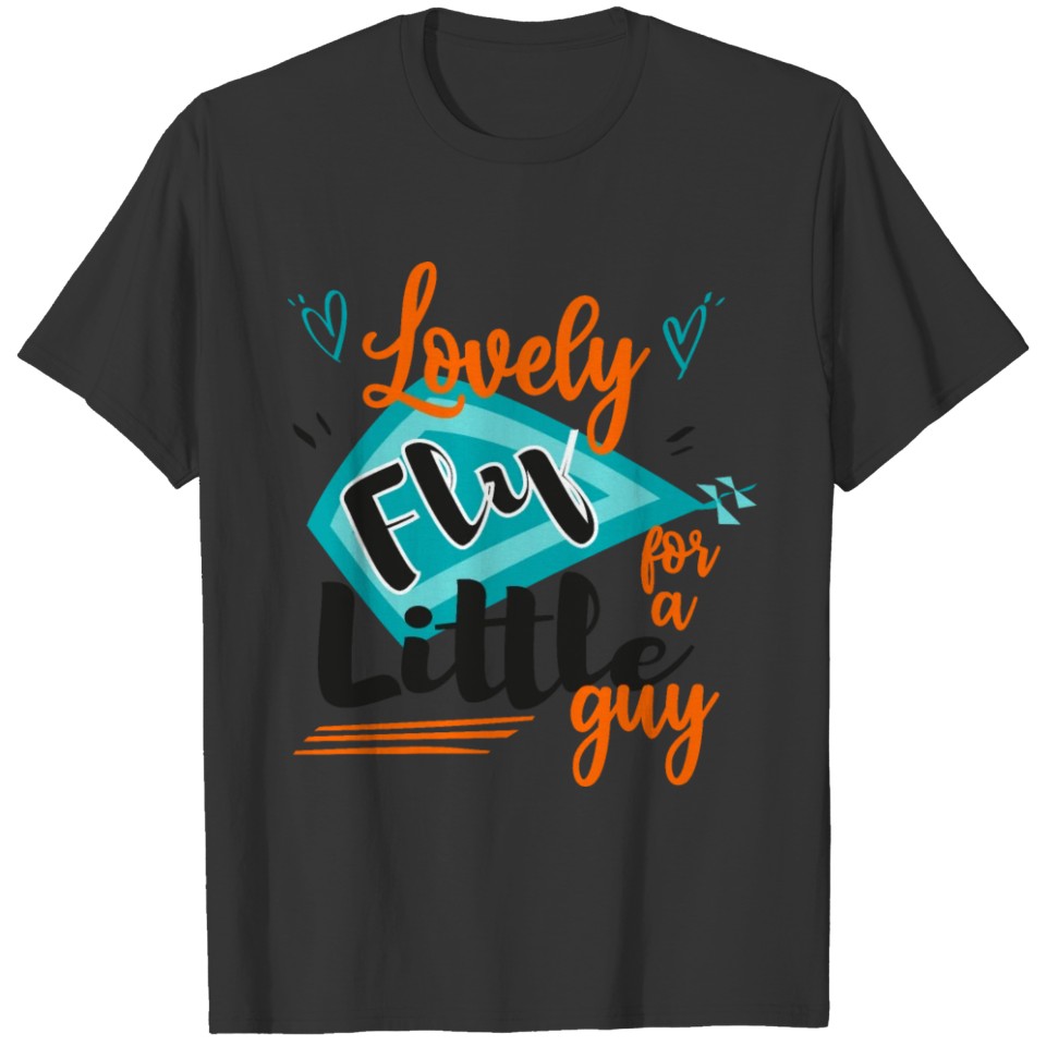 lovely Fly for a Little Guy. Matching colors T-shirt