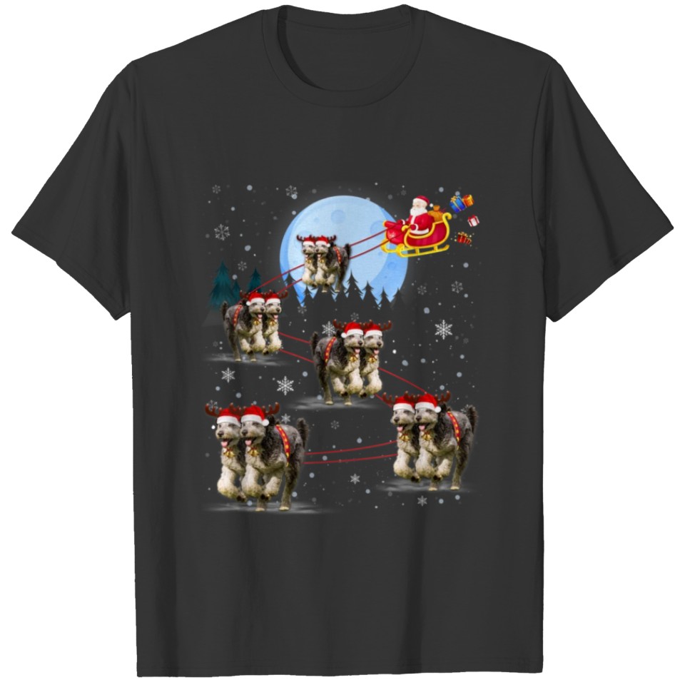 Funny Aussiedoodle Reindeer Santa Xmas Gift T-shirt