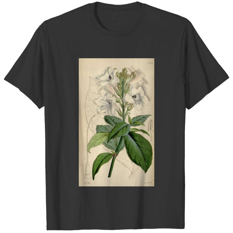 Curtis's botanical magazine (Tab. 4449) ( T-shirt