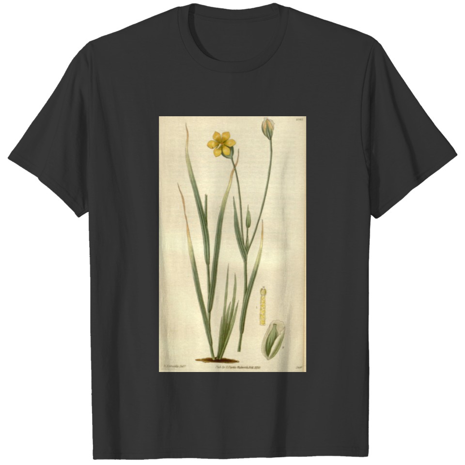 Curtis's botanical magazine (8294307288) T-shirt