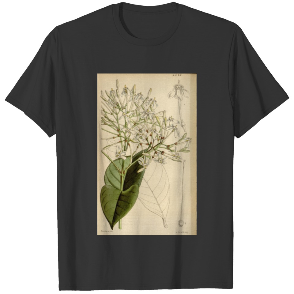 Curtis's botanical magazine (Tab. 4513) ( T-shirt