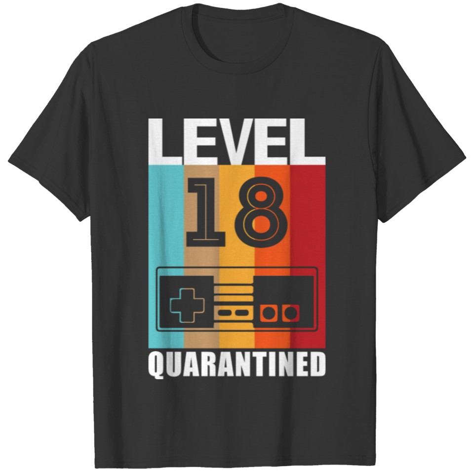 Level quarantined birthday year gift T-shirt