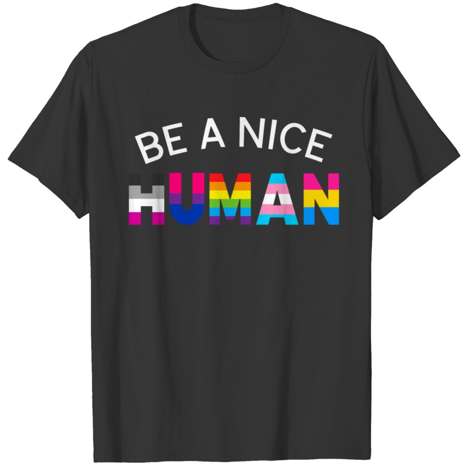 Be a Nice Human Pride Month LGBT Gay Rainbow Flag T-shirt