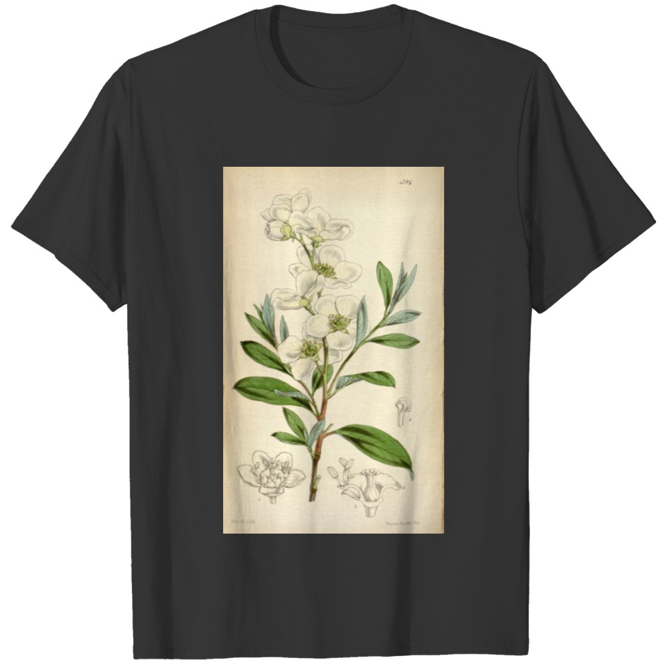 Curtis's botanical magazine (Tab. 4795) ( T-shirt