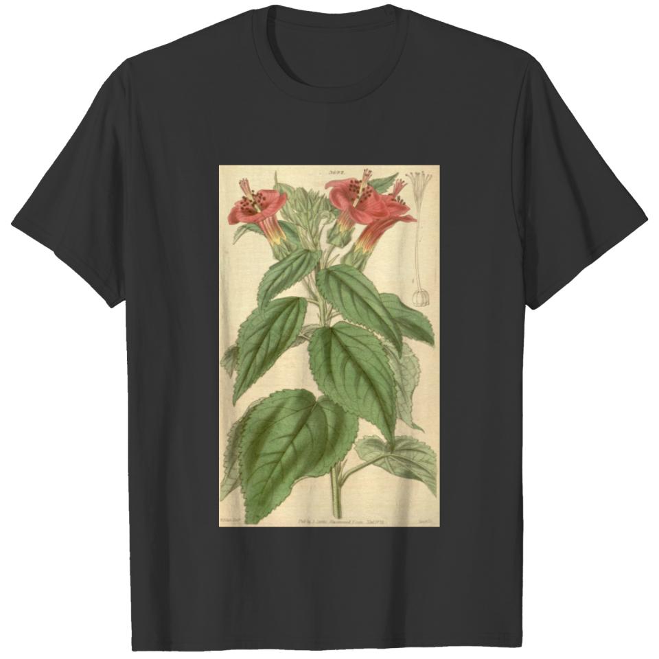 Curtis's botanical magazine (Plate 3692) ( T-shirt