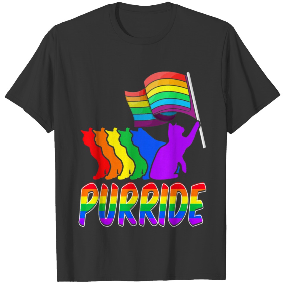 Pride Colorful LGBT Purride Rainbow Cat Lover Gift T-shirt