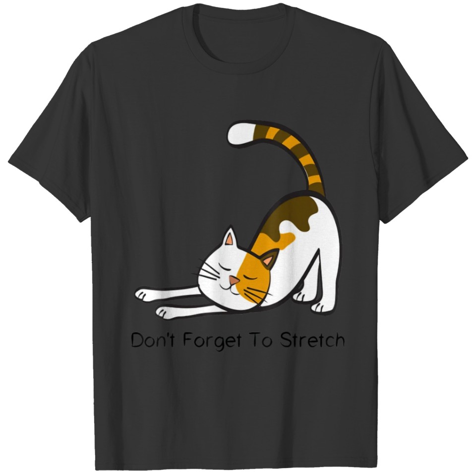 Dont Forget To Stretch Yoga Cat Lover Workout T 2 T-shirt