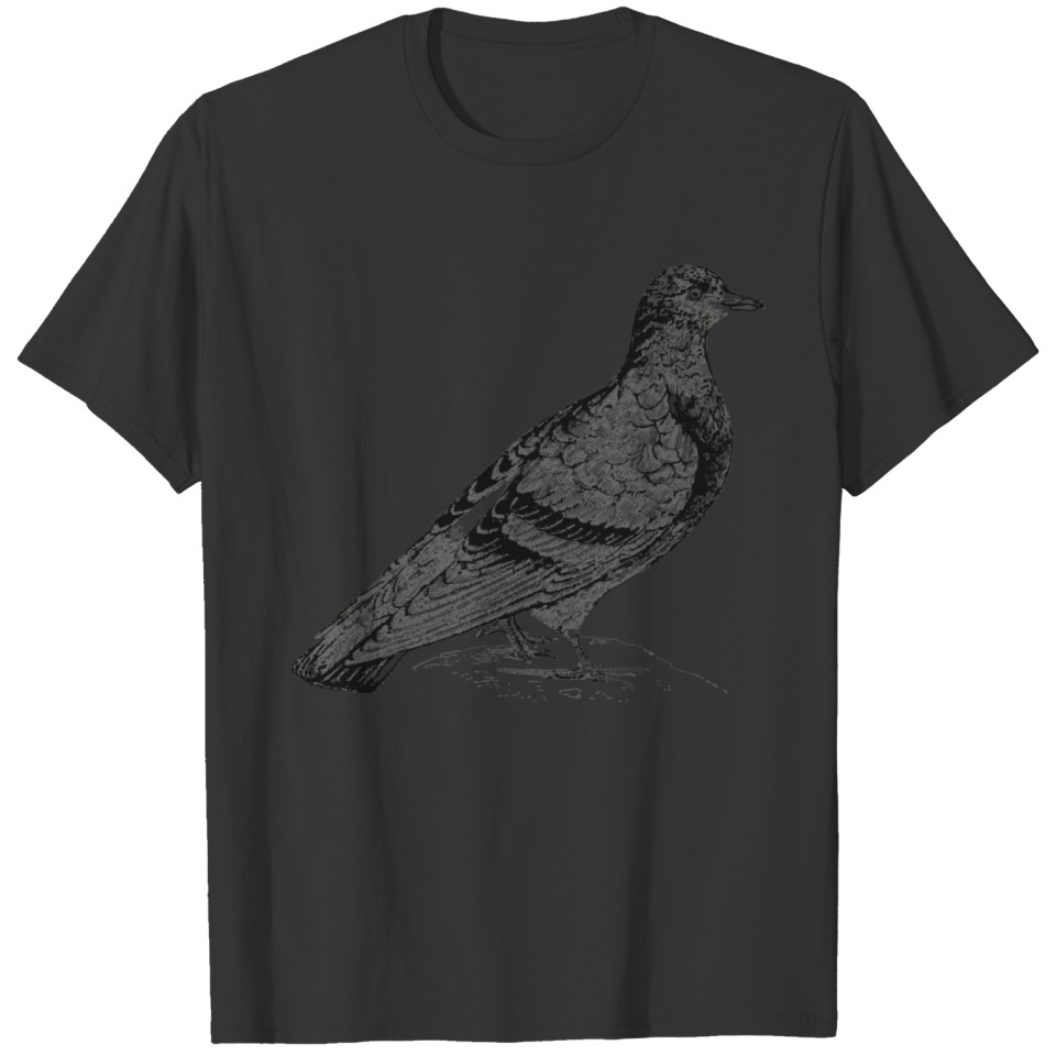 Vintage Pigeon Illustration Common Pigeon Columba T-shirt