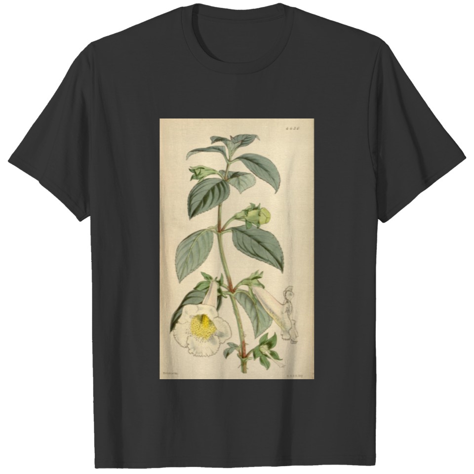 Curtis's botanical magazine (Tab. 4430) ( T-shirt