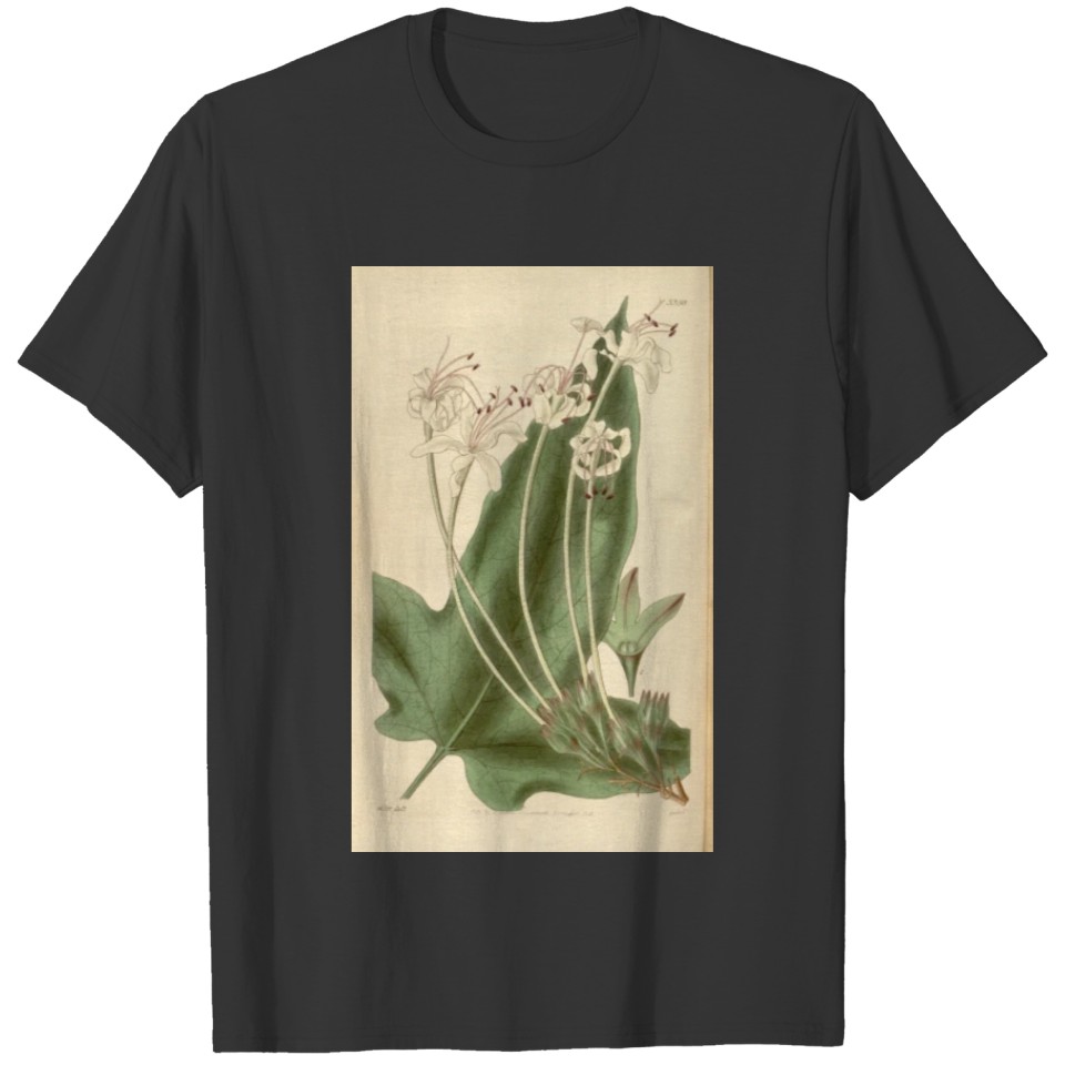 Curtis's botanical magazine (Plate 3398) ( T-shirt