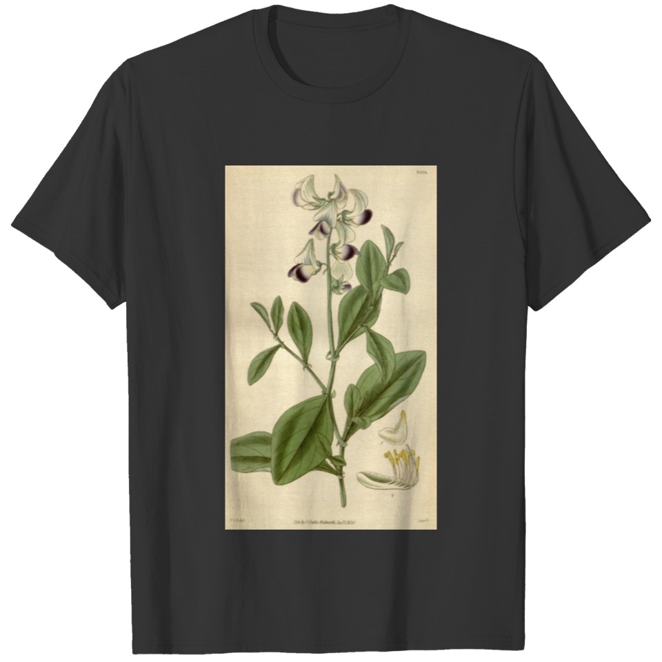 Curtis's botanical magazine (8294341316) T-shirt