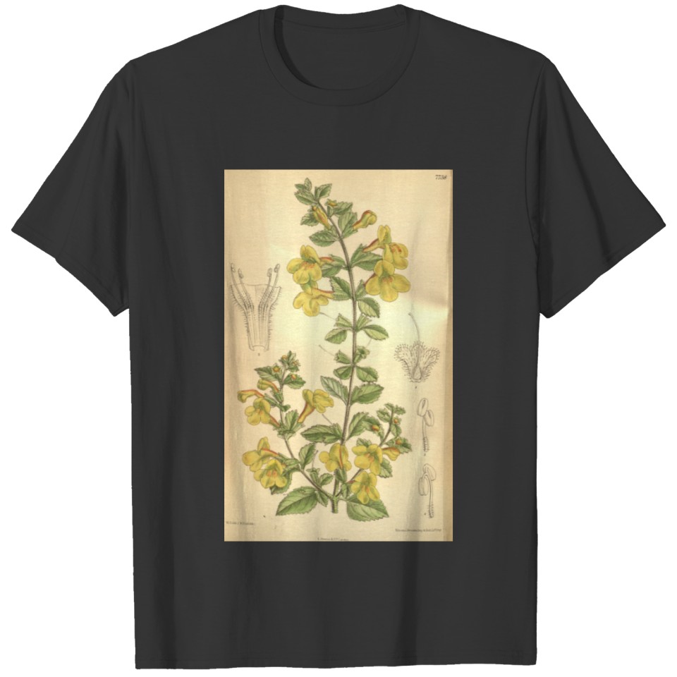 Curtis's botanical magazine (Tab. 7738) ( T-shirt