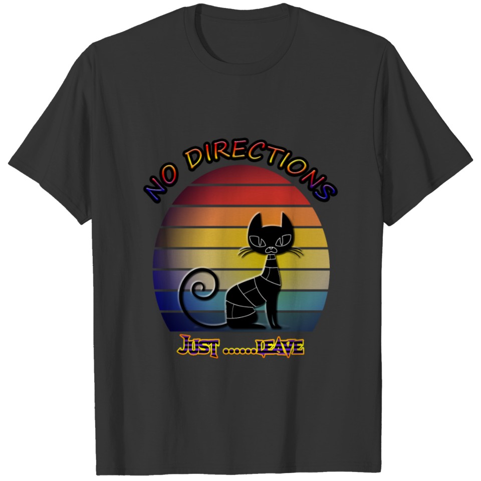 NO DIRECTIONS JUST LEAVE T-shirt