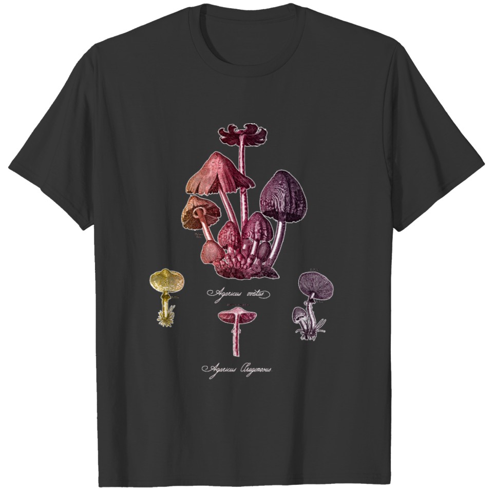 Vintage Mushroom Gradient Fungi Mycology Graphic T Shirts