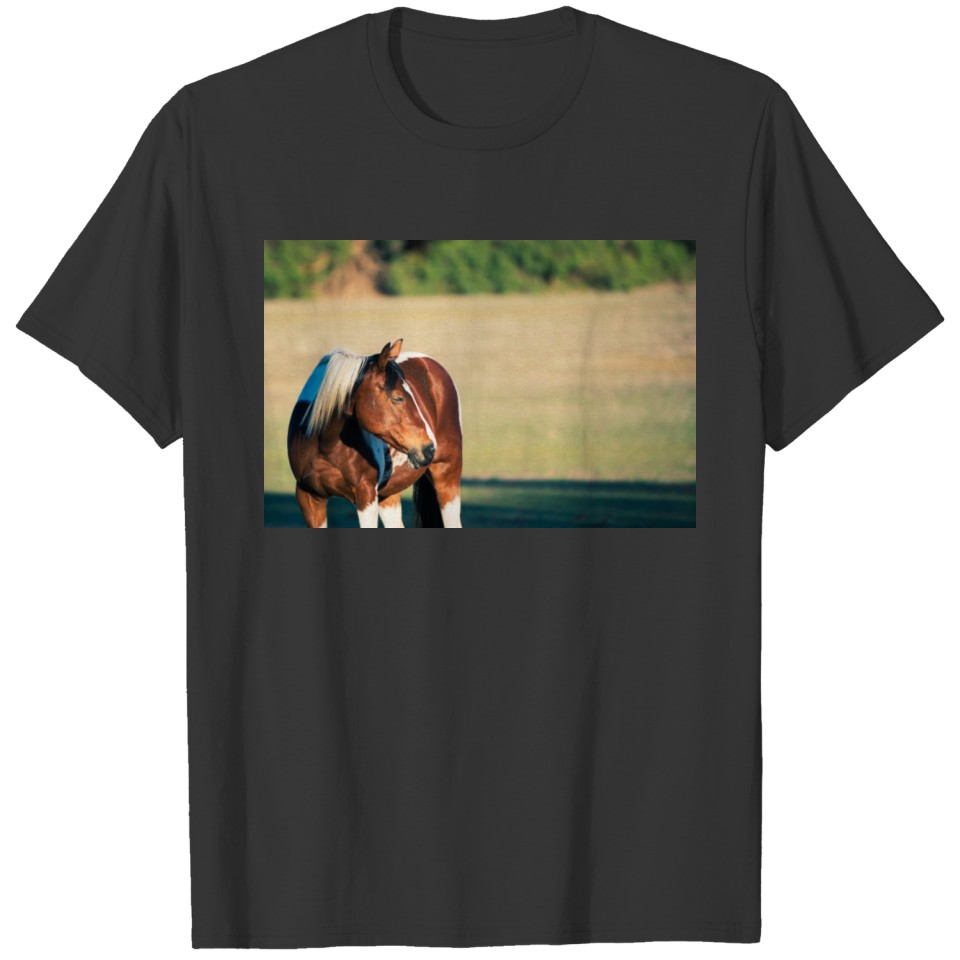 Beautiful brown horse T Shirts