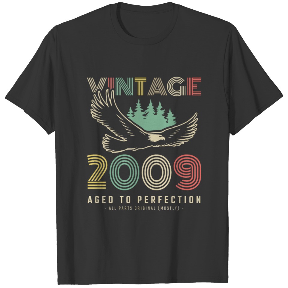 2009 Vintage born in Retro age Birthday gift idea T-shirt