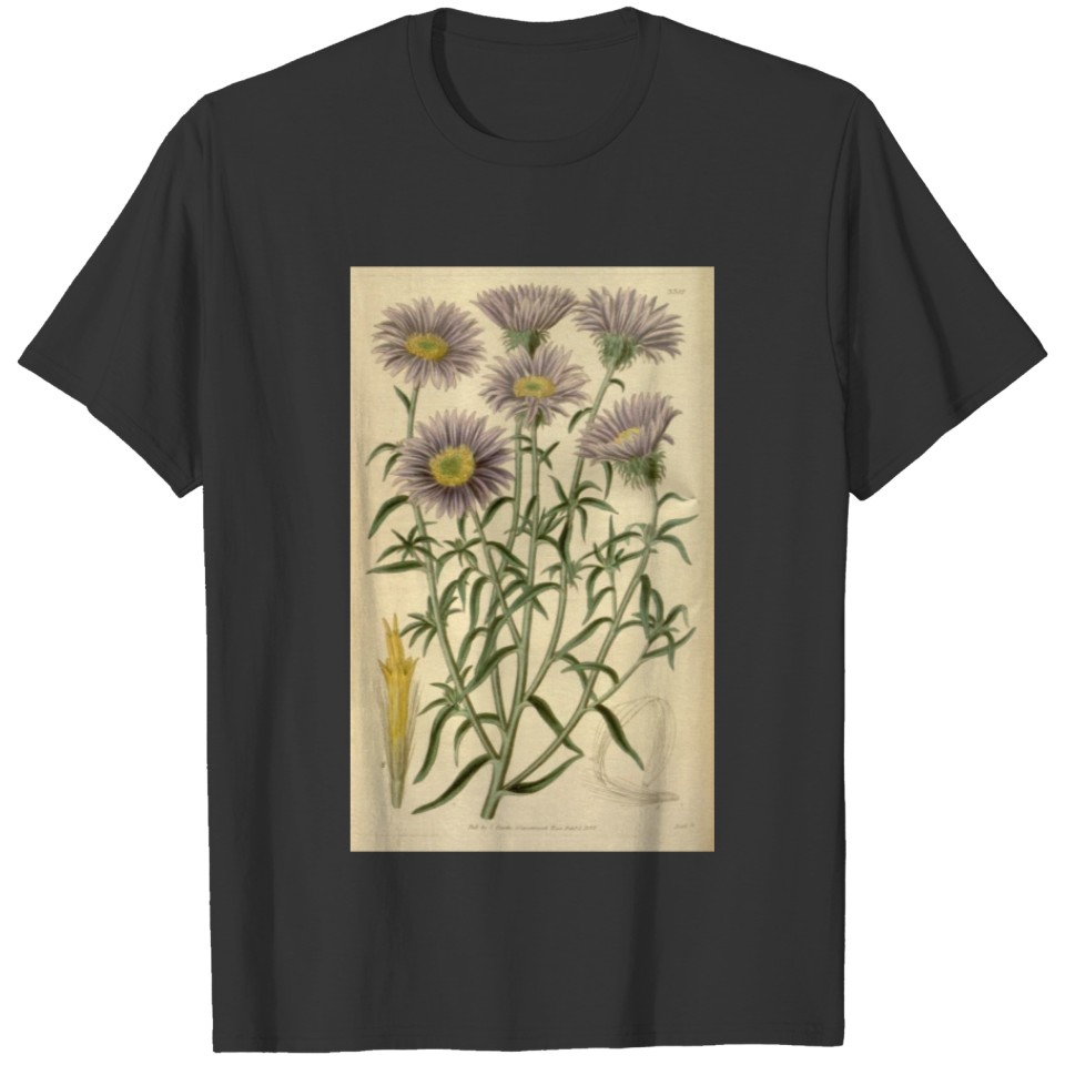 Curtis's botanical magazine (Plate 3382) ( T-shirt