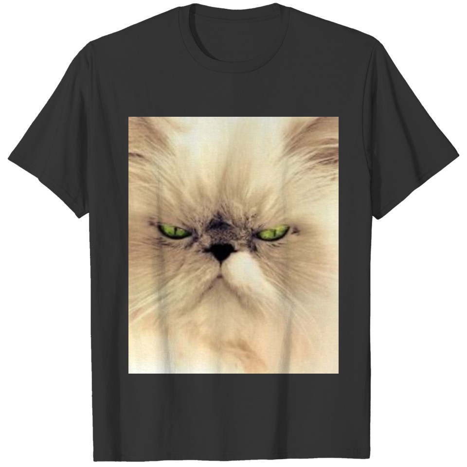 Mr. Fluffy Cat T Shirts