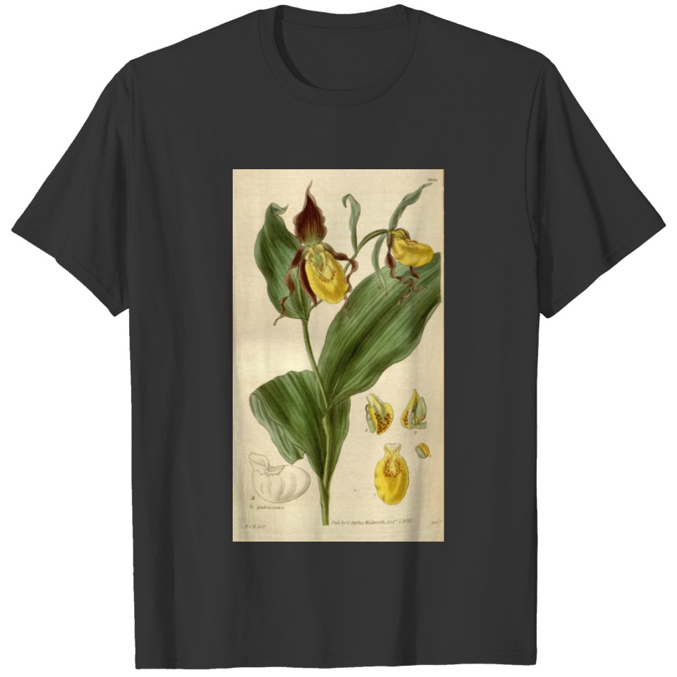 Curtis's botanical magazine (8294336356) T-shirt