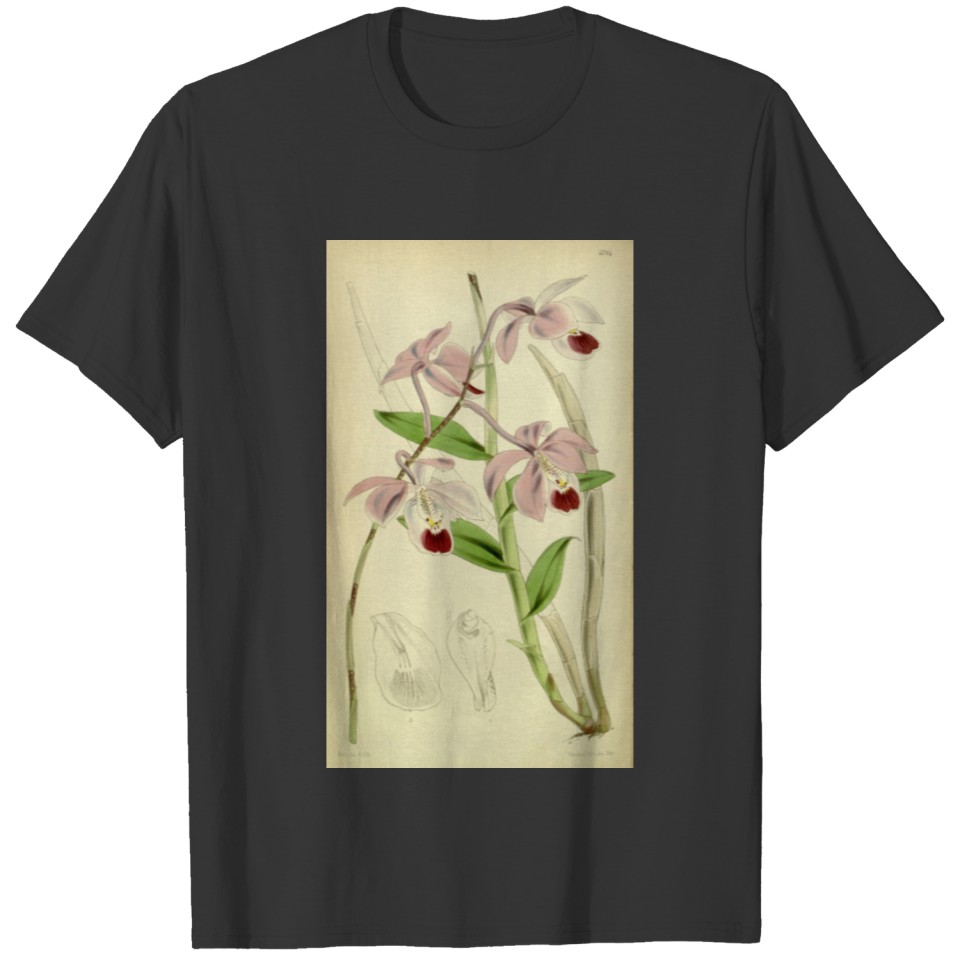 Curtis's botanical magazine (Tab. 4784) ( T-shirt