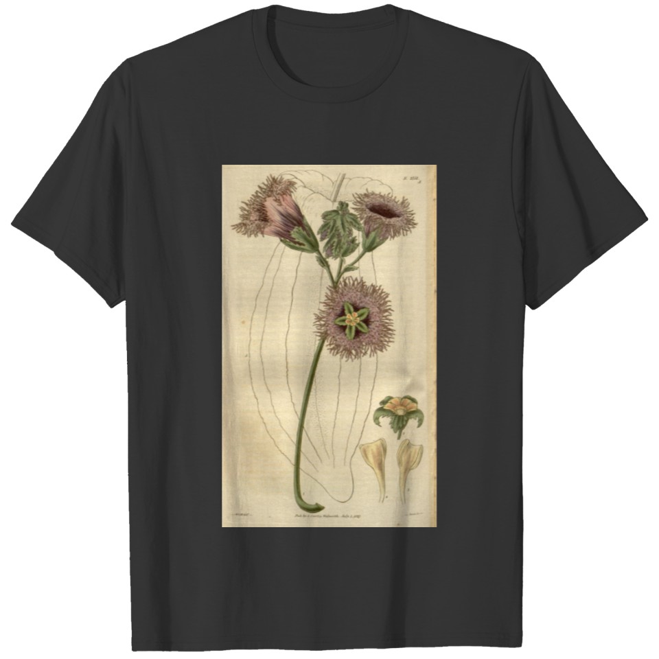 Curtis's botanical magazine (Plate 2751) ( T-shirt