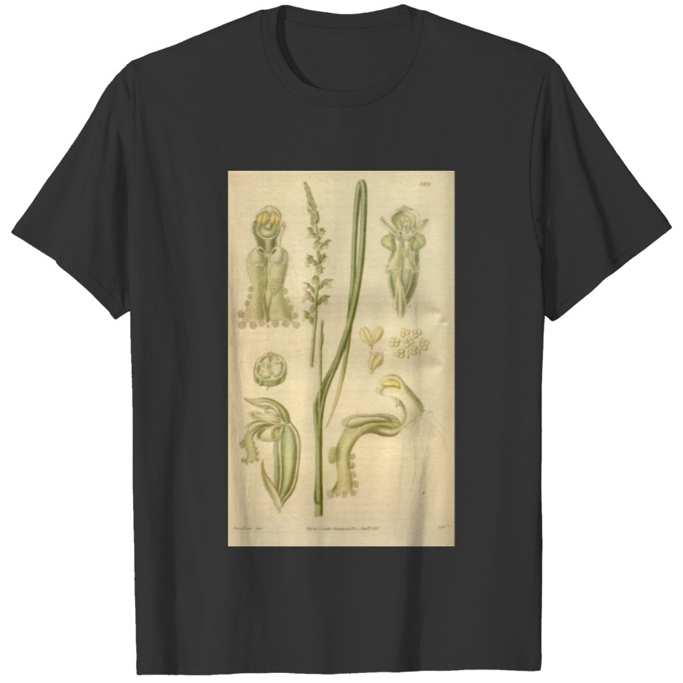 Curtis's botanical magazine (Plate 3378) ( T-shirt