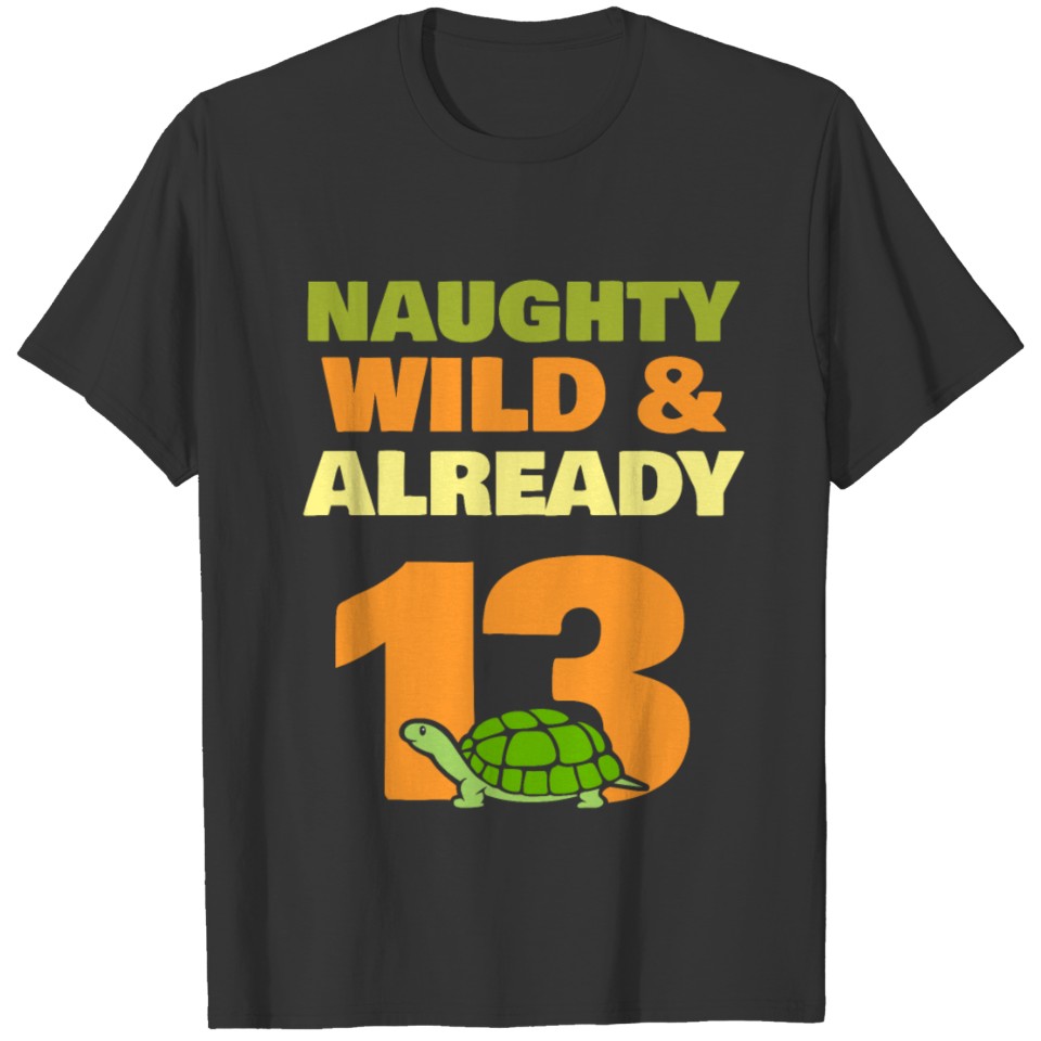 Gift 13 years birthday girl boy turtle T Shirts