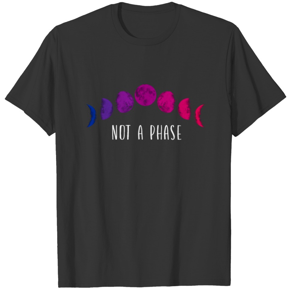 Bisexual Bi Pride Flag Moon Not A T-shirt